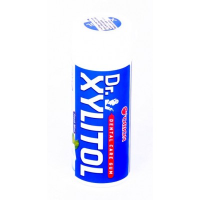 Orion Xylitol Fresh Mint Gum