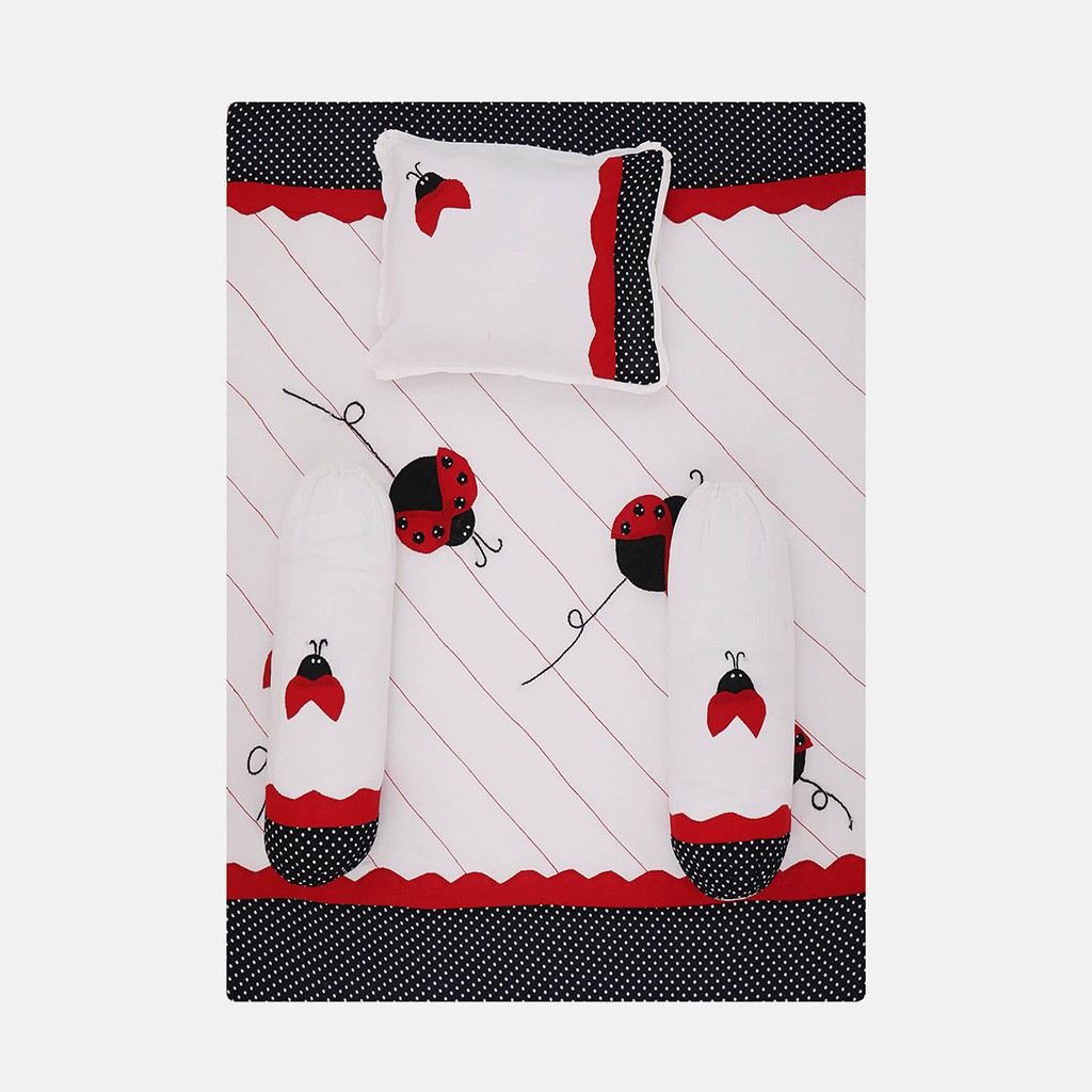 White Appliqued Voile New Born Carrier Set