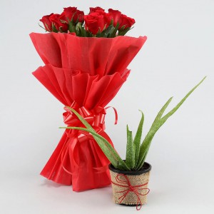 Aloe Vera Plant And Red Rose Bouquet