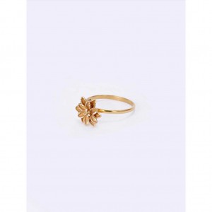 Simulated Stone Studded Gold Ring