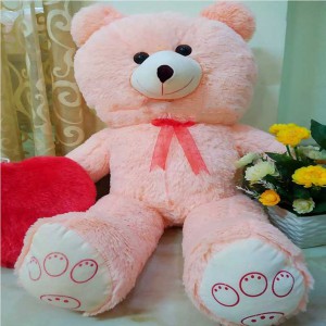 Soft Fluffy Teddy