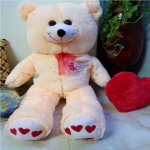 Soft Fluffy Teddy