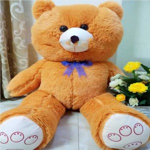 Soft Fluffy Teddy