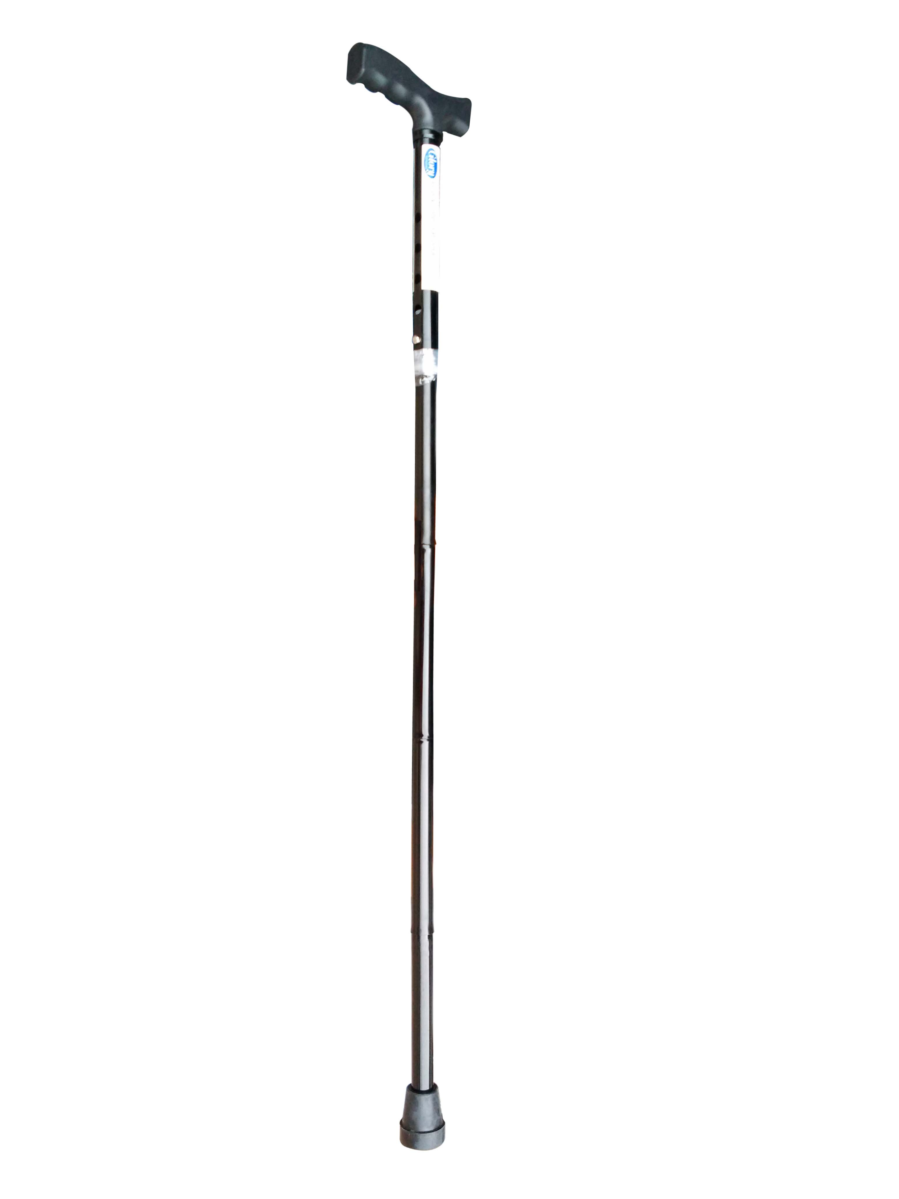 Walking Stick 001