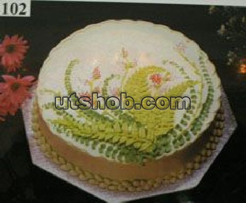 HOTCAKE058