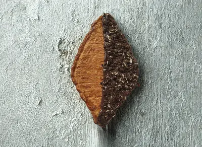 Flat Nutella Croissant