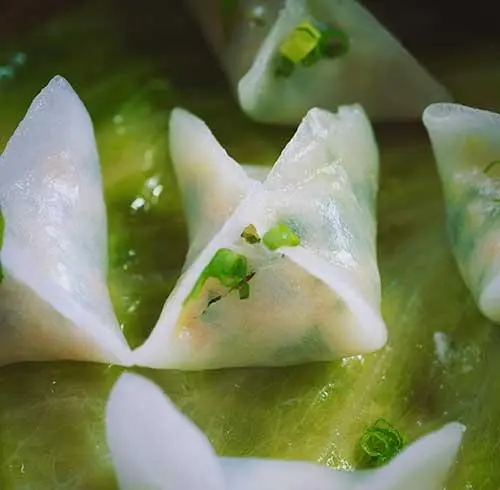 Vegetable Dumpling