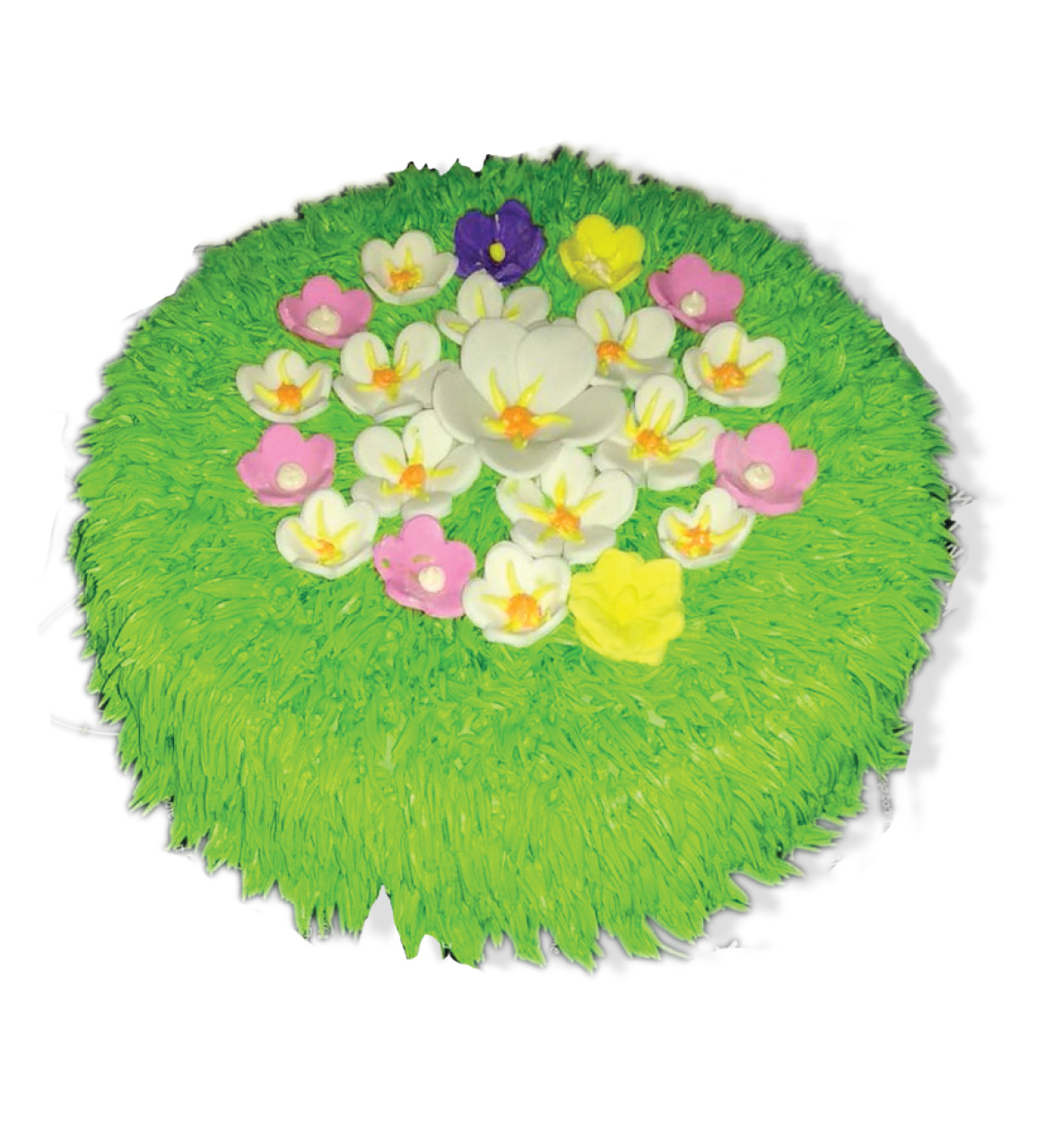 ROUND GRASS- BASIC 12
