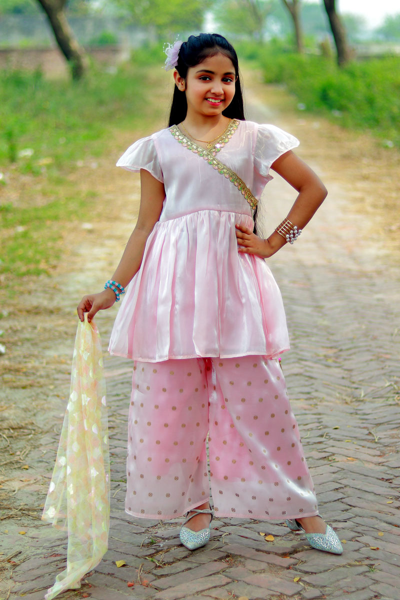 Powder Pink Organza Salwar Kameez Set for Girl