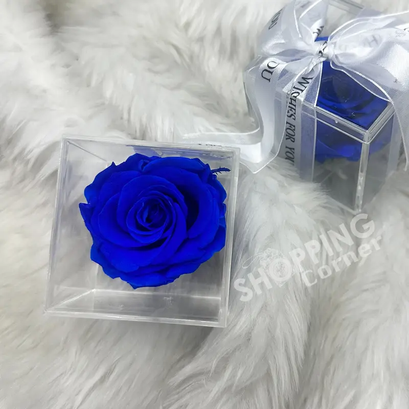 Blue Color (Pro) Real Rose Preserved Flower