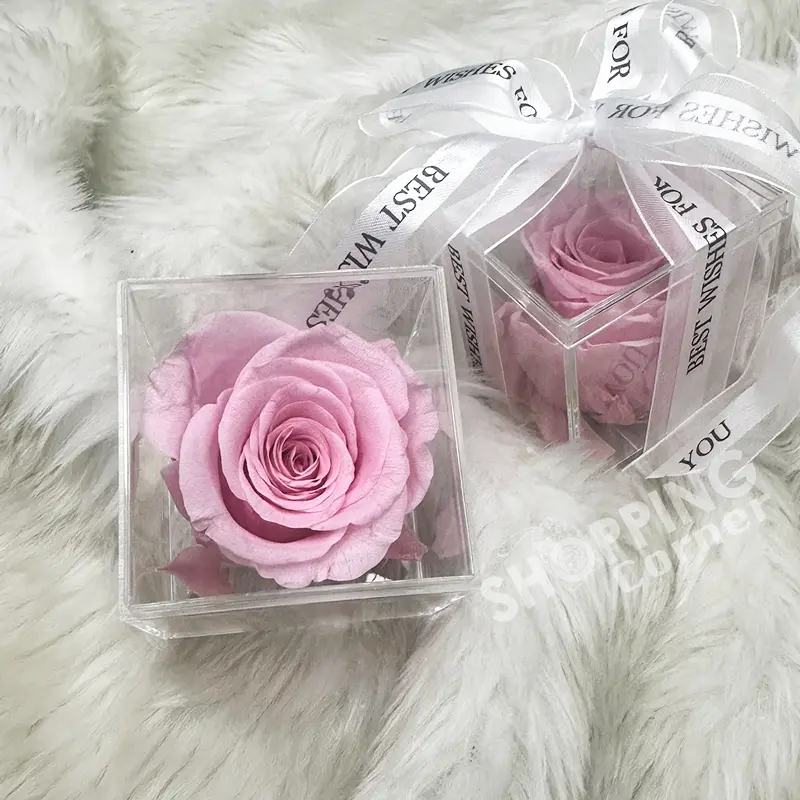 Pink Color (Pro) Real Rose Preserved Flower