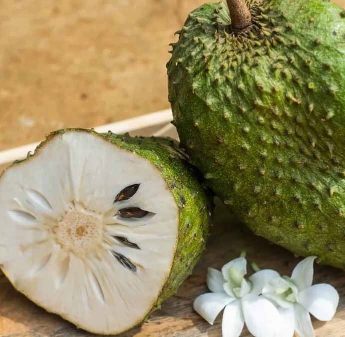 Soursop Guanabana Fruit