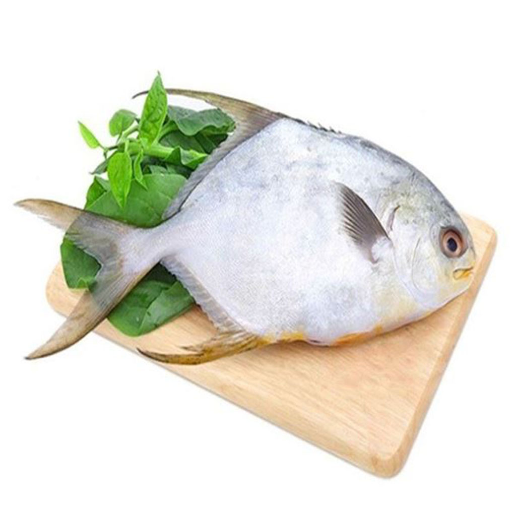 Pomfret (Rupchada)