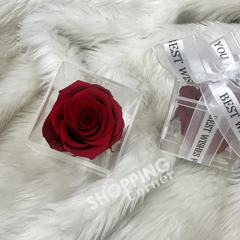 Red Color (Pro) Real Rose Preserved