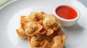 Chicken Wonton One Piece