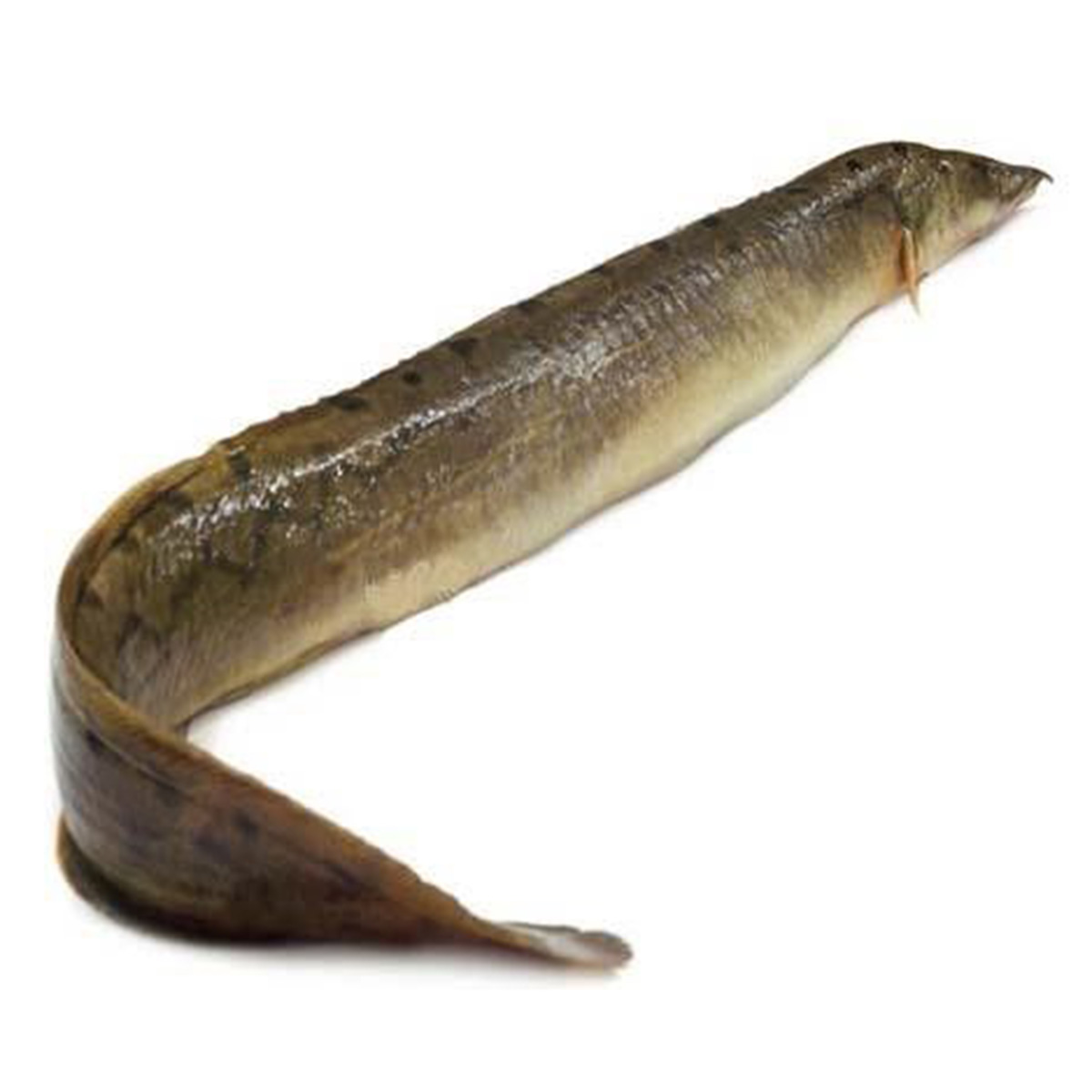 Long Baim