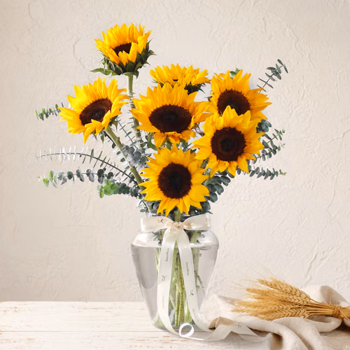 The Sunflower Edit