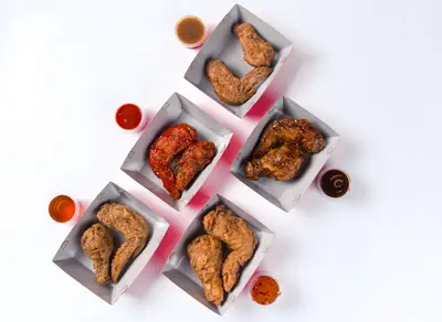 Pankha Wings