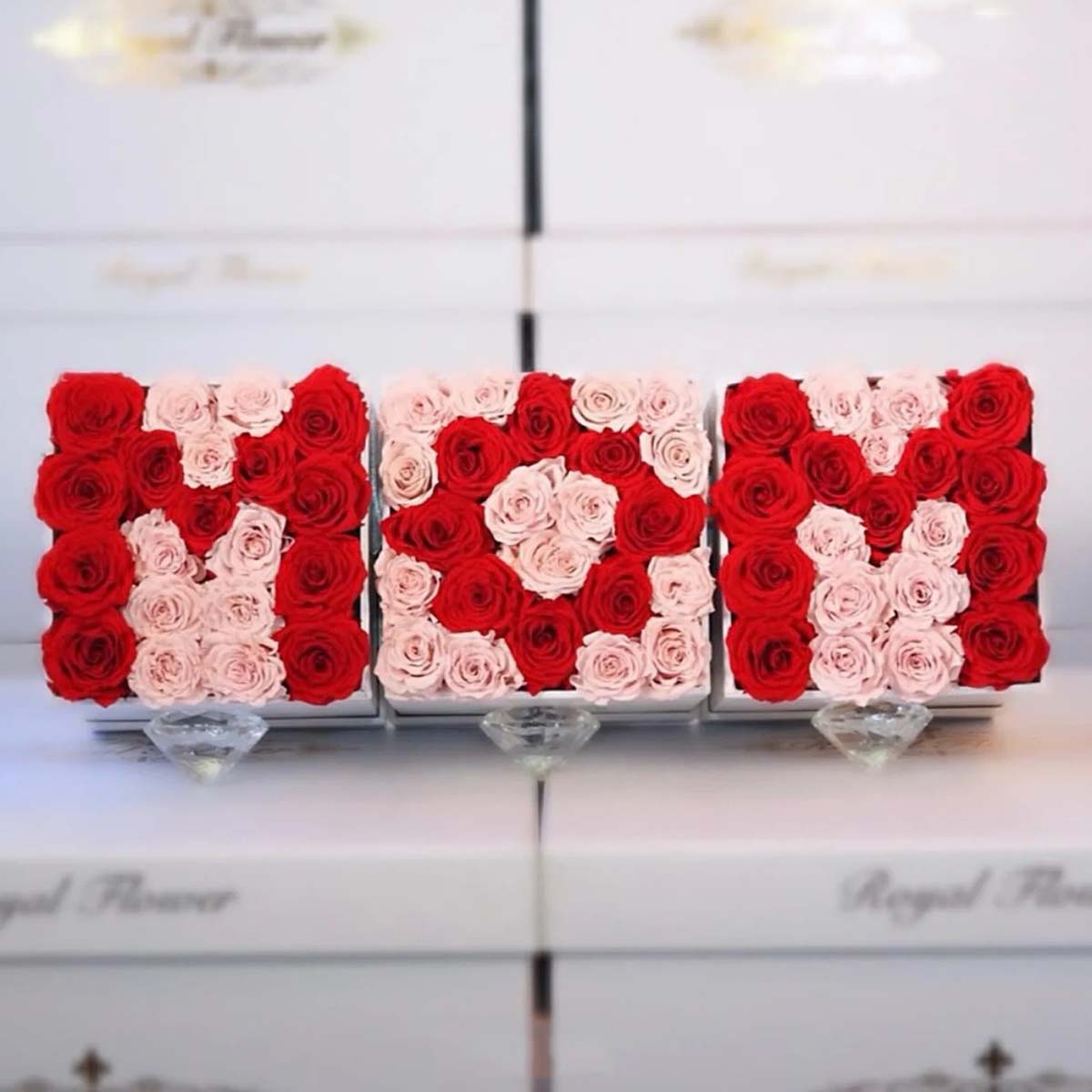Mother's Day Exclusive Combo 20