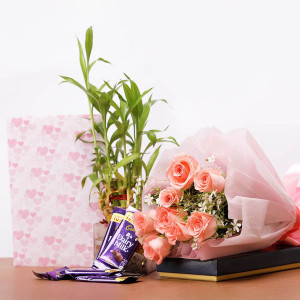 Combo with Plant and Rose