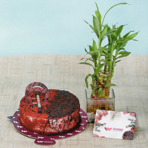 Combo with Plant and Cake