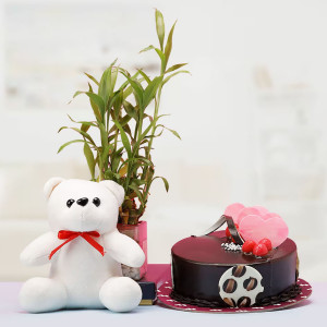 Combo with Plant and Cake