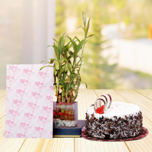 Combo with Plant and Cake