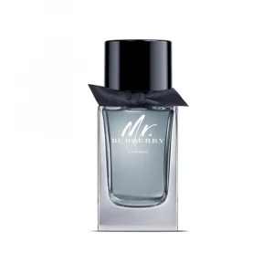 MR. BURBERRY INDIGO