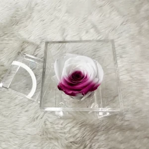 Single Eternal Multi Color Preserve Rose In An Acrylic Box