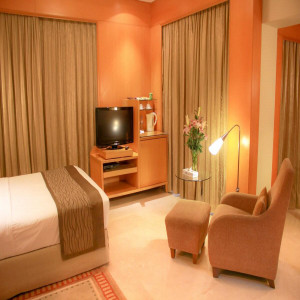 Executive Premium Deluxe