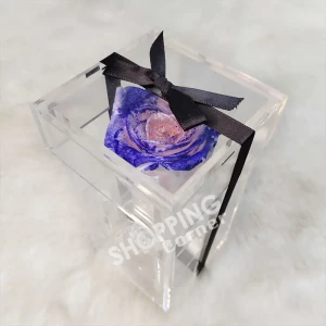 Single Eternal Multi Color Preserve Rose In An Acrylic Box