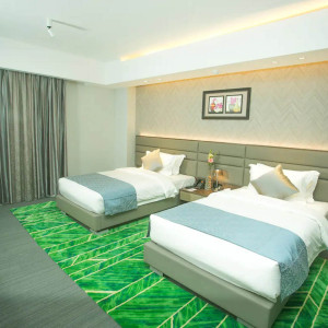 Premium Twin Room
