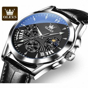 LEVS 2876 Casual Men Watch Men Wristwatch Luxury Luminous Quartz Watch Business Classic Black