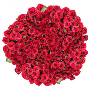 365-local-red-roses