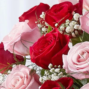 ultimate-elegance-long-stem-pink-red-roses