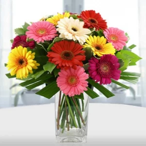 simply-gerberas