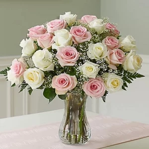 two-dozen-long-stem-pink-white-roses