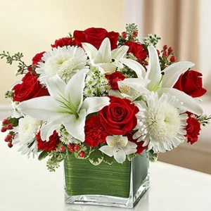 red-and-white-lovely-cube