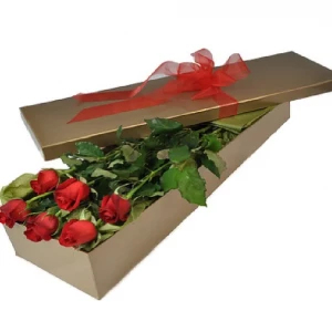 love-in-bloom