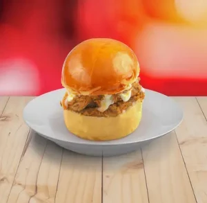 mexican-chicken-steak-burger-1