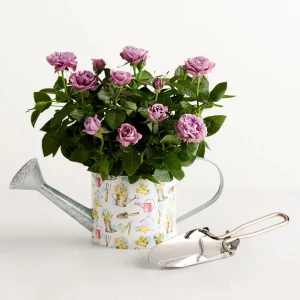 spring-watering-can