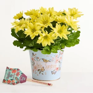 hello-sunshine-mum