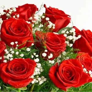 rose-elegance-long-stem-red-roses