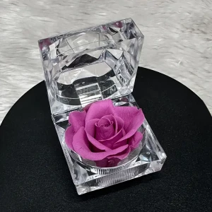 Rosy Pink Preserved Rose