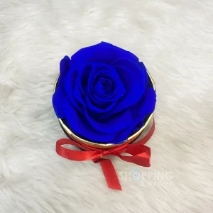 Real Eternal Preserved Blue Rose Flower In Black Round Small Gift Box
