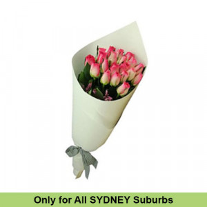 20-pink-roses-bunch