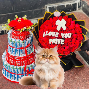 Valentine Premium Combo 27
