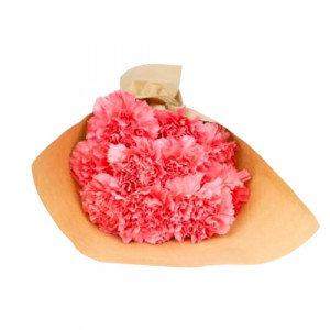 small-light-pink-carnation-bouquet