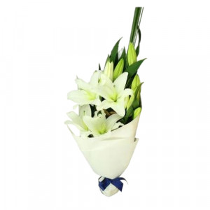 small-size-white-oriental-lilly
