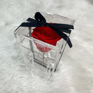 Red Preserved Rose Ultra Pro Max In An Acrylic Box